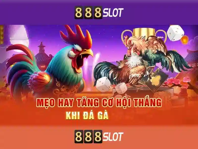 hỗ trợ 24/7