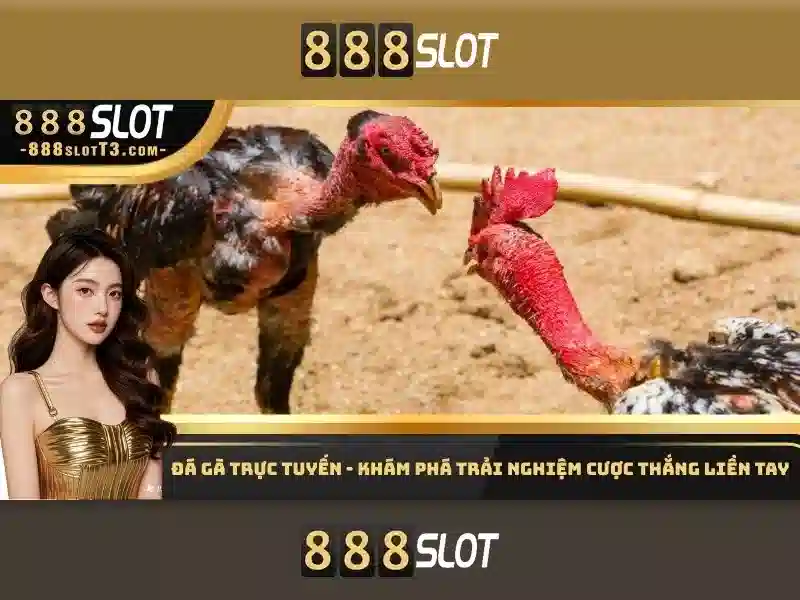 888SLOT - Trải Nghiệm Slot Đỉnh Cao Với 888 Win Slot 2026