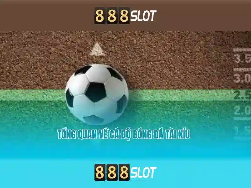 Ưu Đãi Slot
