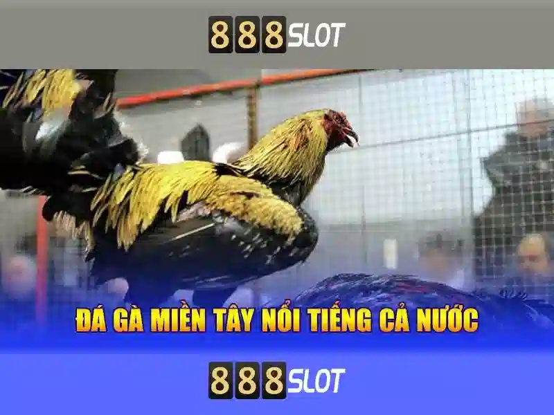 Mẹo chơi slot 888slot