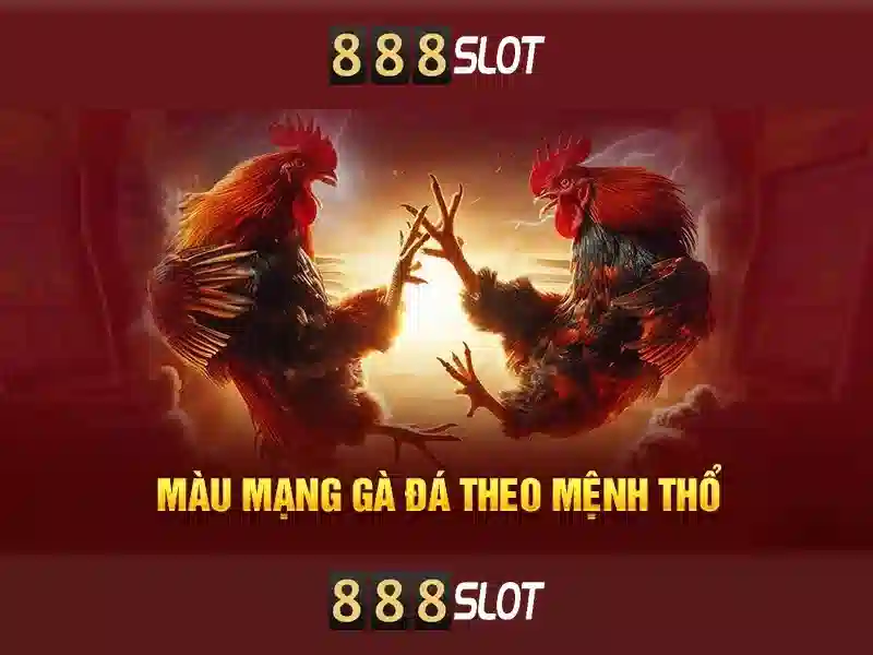 888SLOT – Trang Chủ Chính Hãng Không Bị Chặn 2026
