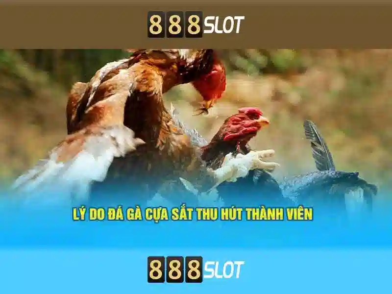 Trải nghiệm 888slot apk