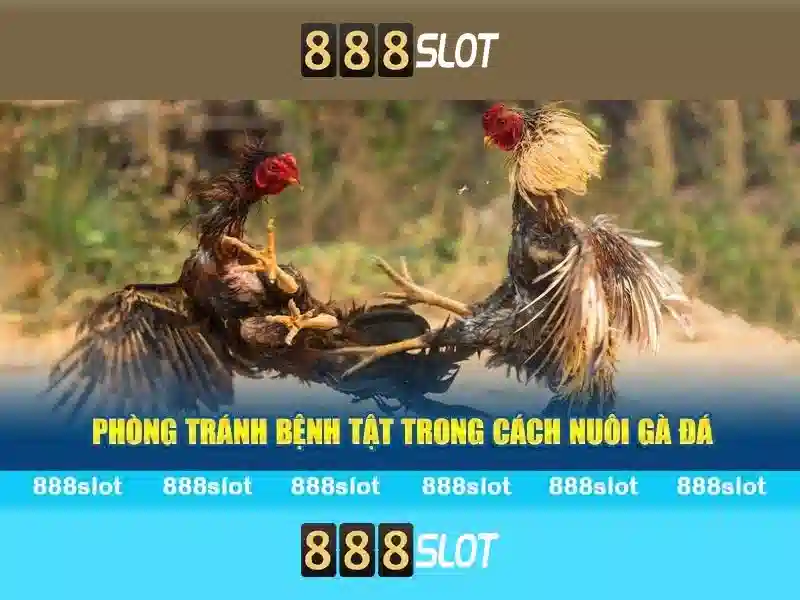 Trò chơi slot đa dạng