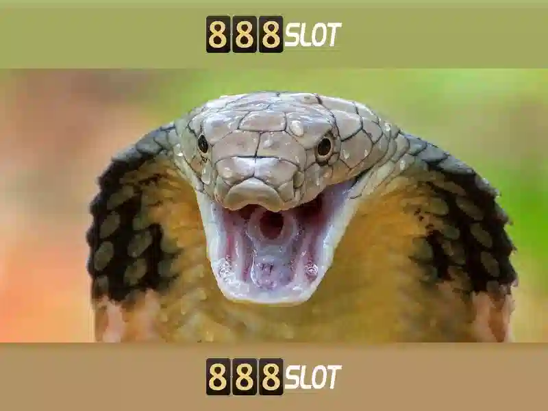Trải Nghiệm Chơi Slot Tại 888SLOT