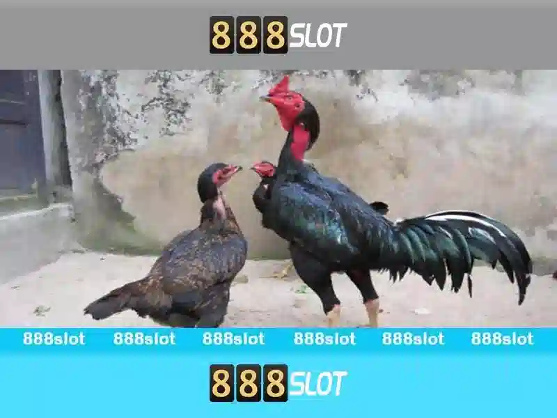 Sảnh Chơi 888slot Đa Dạng