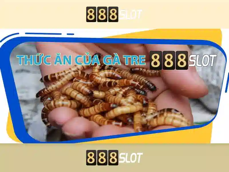 Đăng Nhập 888slot