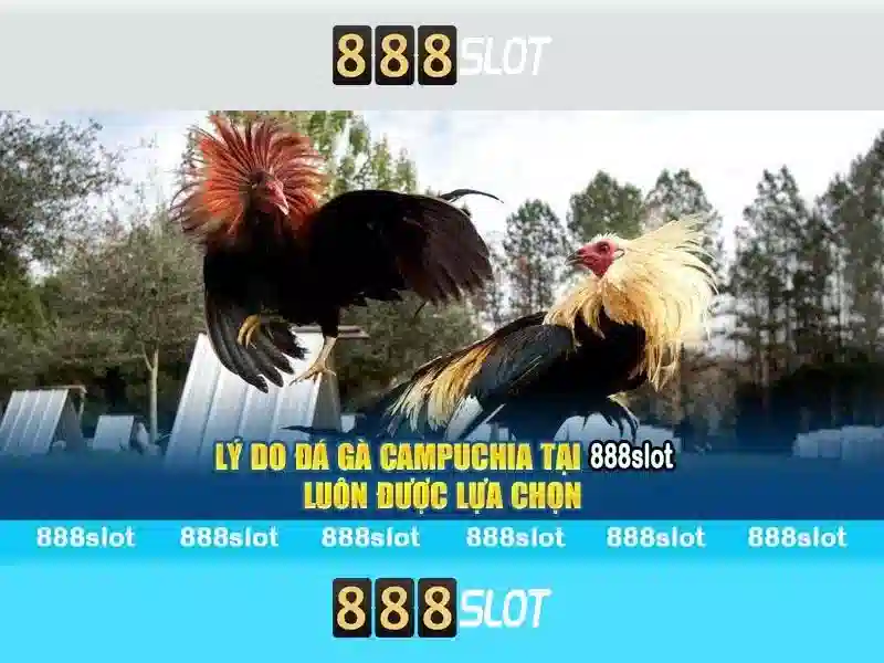 Tải 888slot Apk Ios