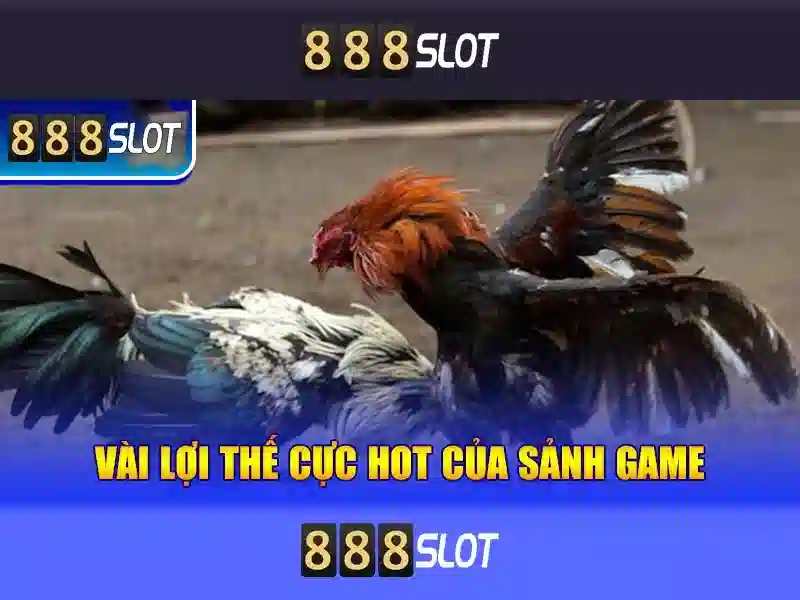 Hướng dẫn tham gia