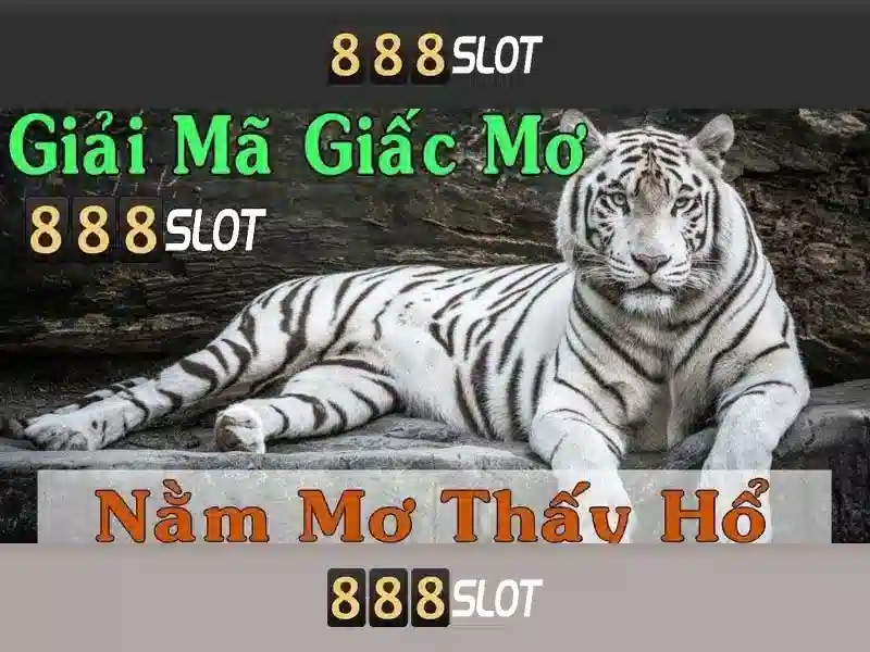 Trải nghiệm Slot