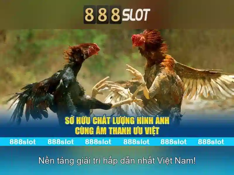 888SLOT – Hướng Dẫn Tải APK 888SLOT Chính Thức Không Bị Chặn 2026