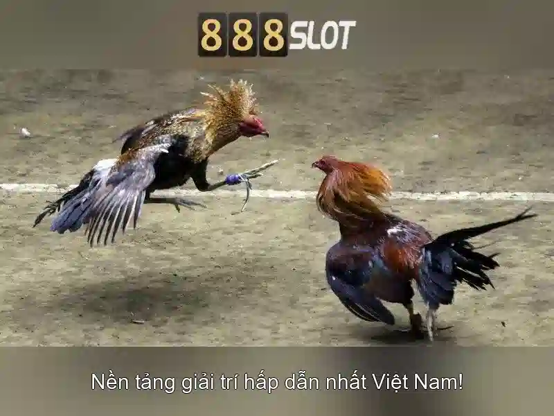 Đa dạng loại game slot