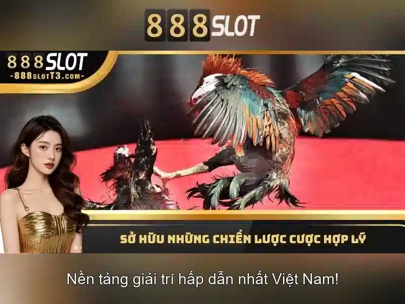 Trải nghiệm đa dạng trò chơi slot 3D tại 888SLOT