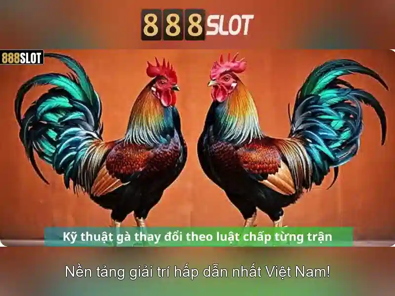 Điều Khoản Cá Cược