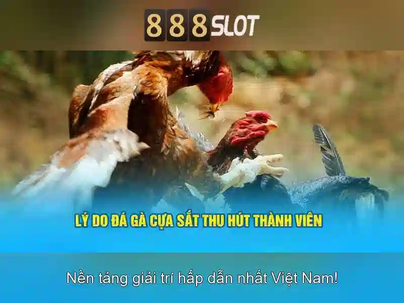888SLOT – Trang Chủ Chính Thức 888SLOT Cung Cấp Dịch Vụ Slot Trực Tuyến Uy Tín 2026