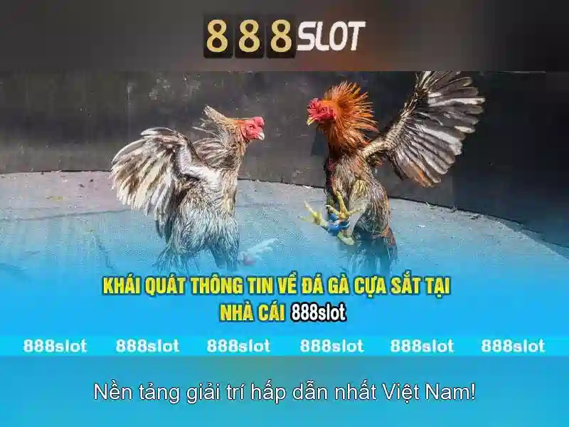 Chào mừng đến với 888SLOT - Nhà cái cá cược trực tuyến hàng đầu