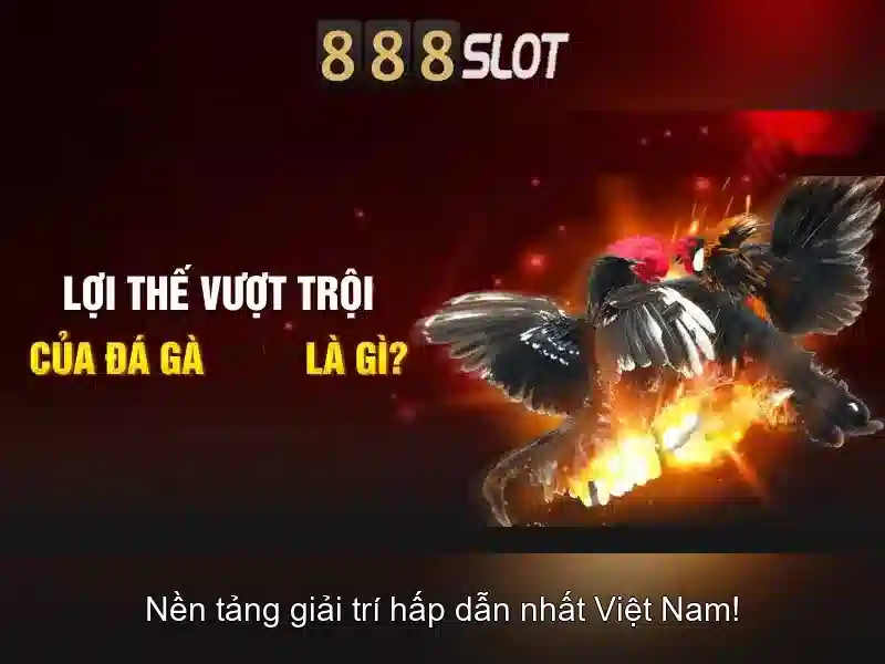 tính năng nổi bật của 888slot