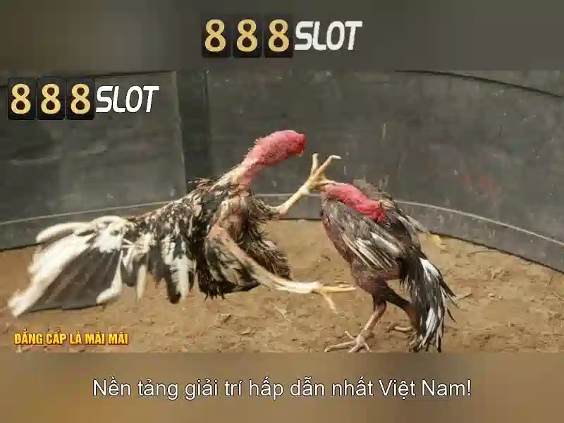 888SLOT – Giao Diện Đăng Ký Trực Tuyến