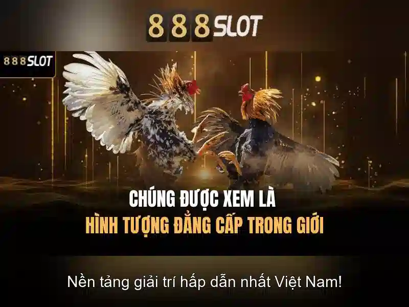 Hướng Dẫn Sử Dụng 888 Slot 77