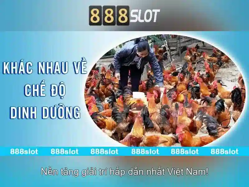 888SLOT – Code 888slot: Ưu Đãi Slot Độc Quyền 2026