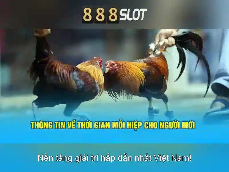 tỷ lệ thưởng cao