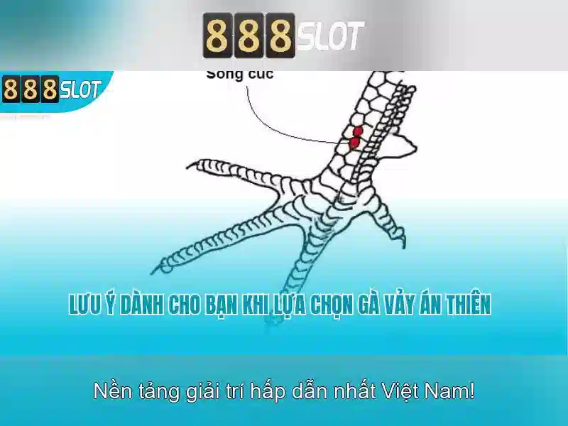 Trải Nghiệm Slot Đỉnh Cao Với 888SLOT